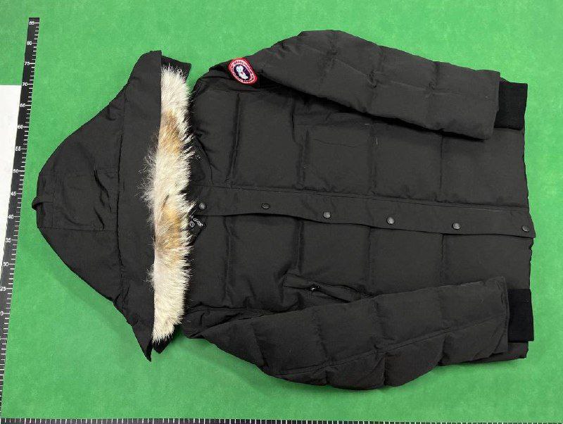 QC reference photos 4